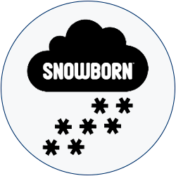Snowborn Games provider logo